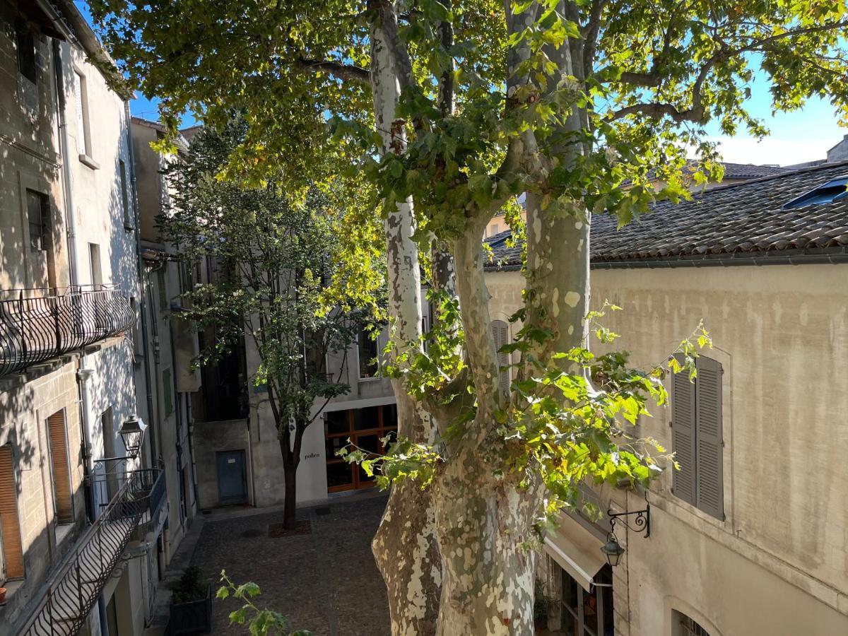 La Charmante Du Palais 2 Chambres Avignon Exterior foto