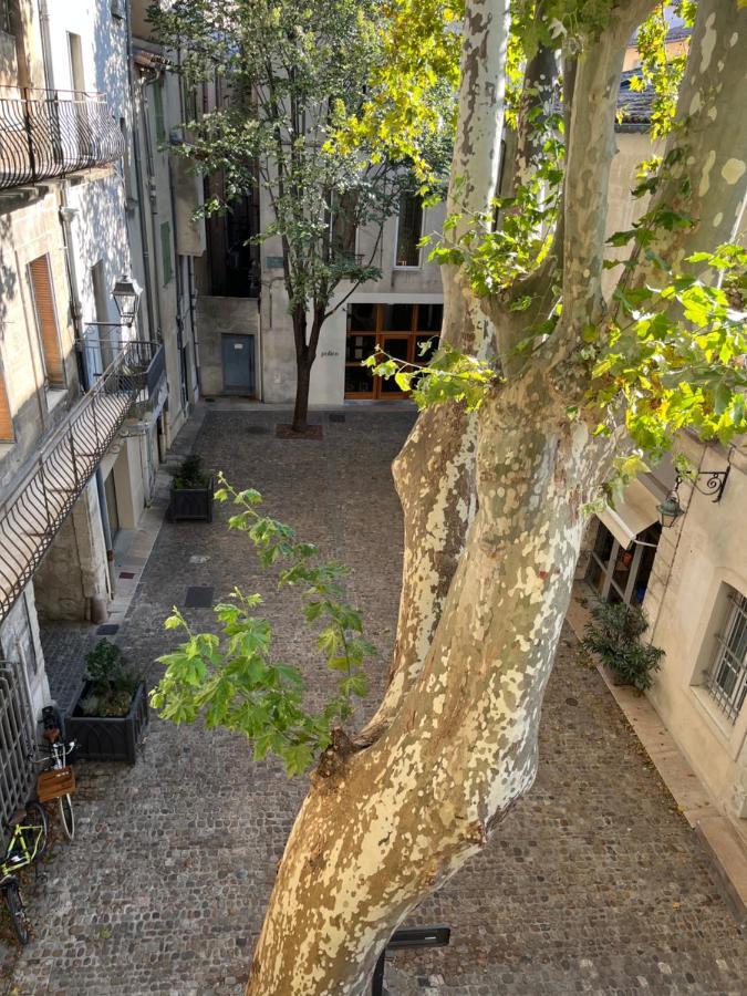 La Charmante Du Palais 2 Chambres Avignon Exterior foto